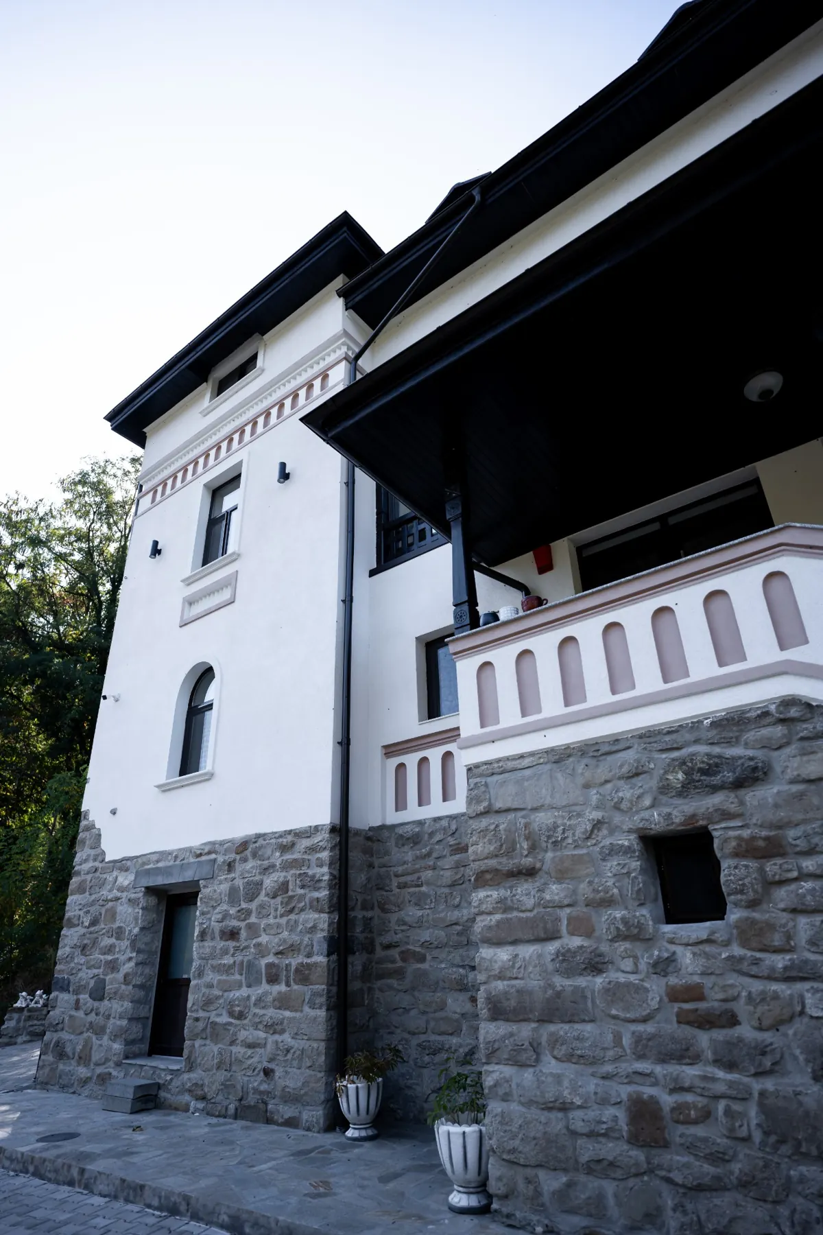 Bujorul Oltului – exterior și curte