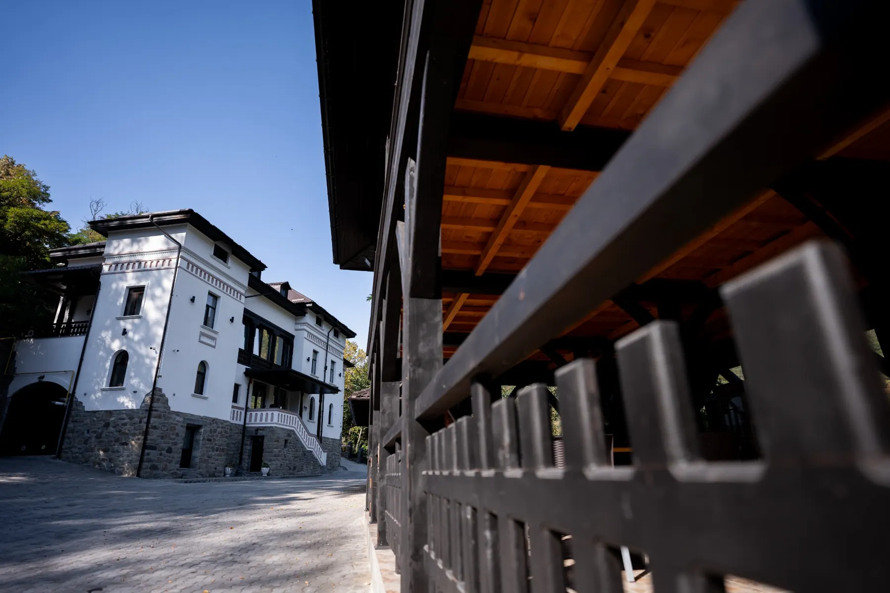 Bujorul Oltului – exterior și curte