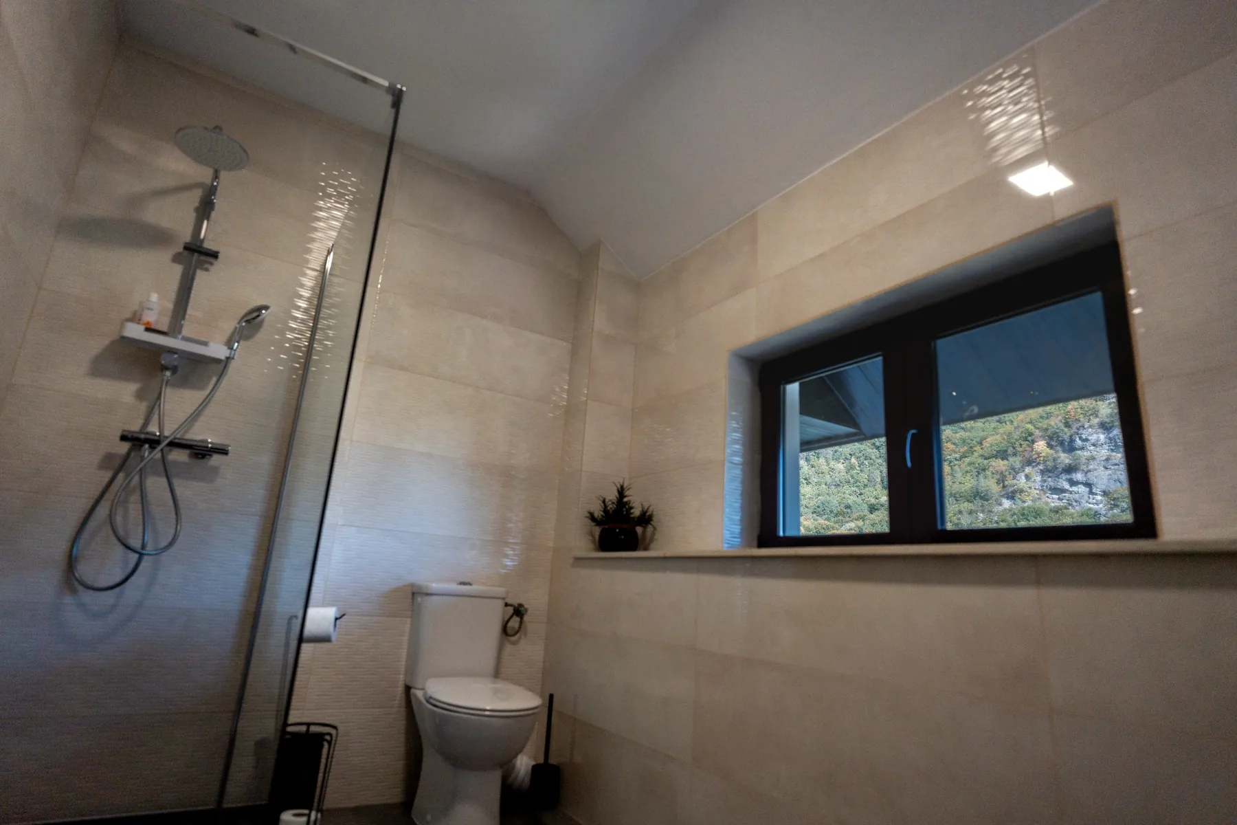 Bujorul Oltului – camere și apartamente