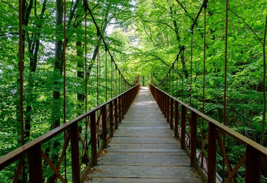 Bujorul Oltului – priveliști din Călimănești-Căciulata